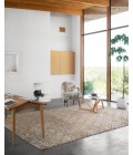 Loloi Sahara SJ-03  Area Rug